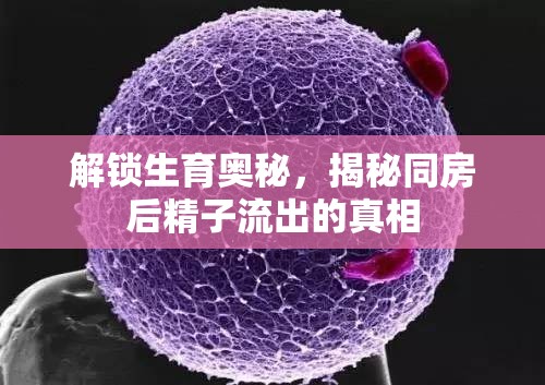 解鎖生育奧秘，揭秘同房后精子流出的真相