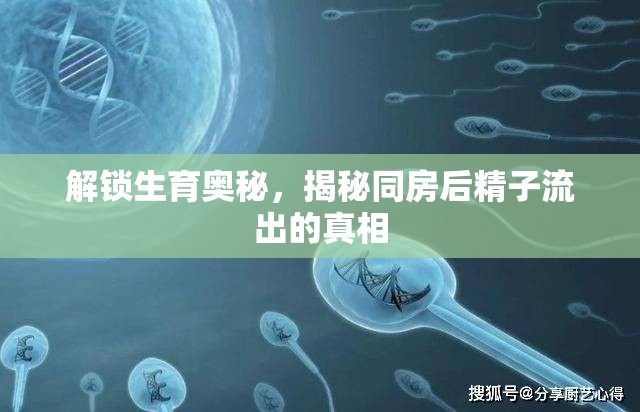 解鎖生育奧秘，揭秘同房后精子流出的真相