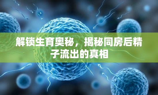 解鎖生育奧秘，揭秘同房后精子流出的真相
