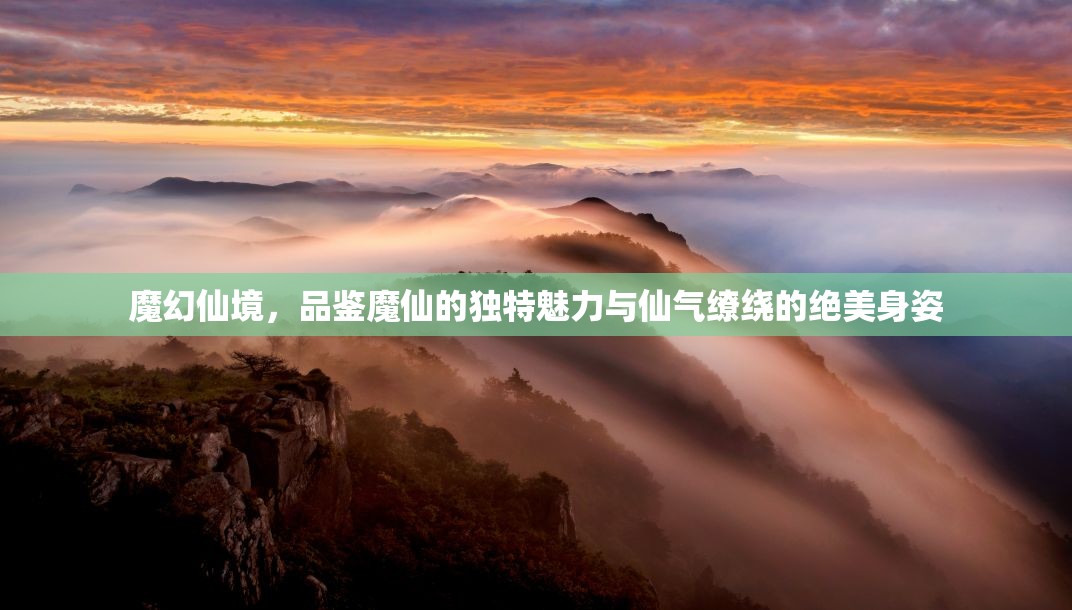 探秘魔幻仙境，領(lǐng)略魔仙魅力與仙氣之美