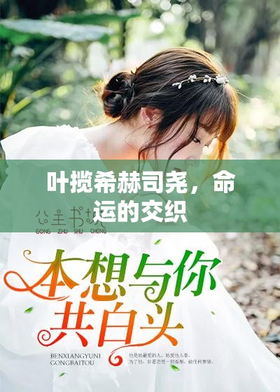 命運(yùn)的交織，葉攬希與赫司堯的故事