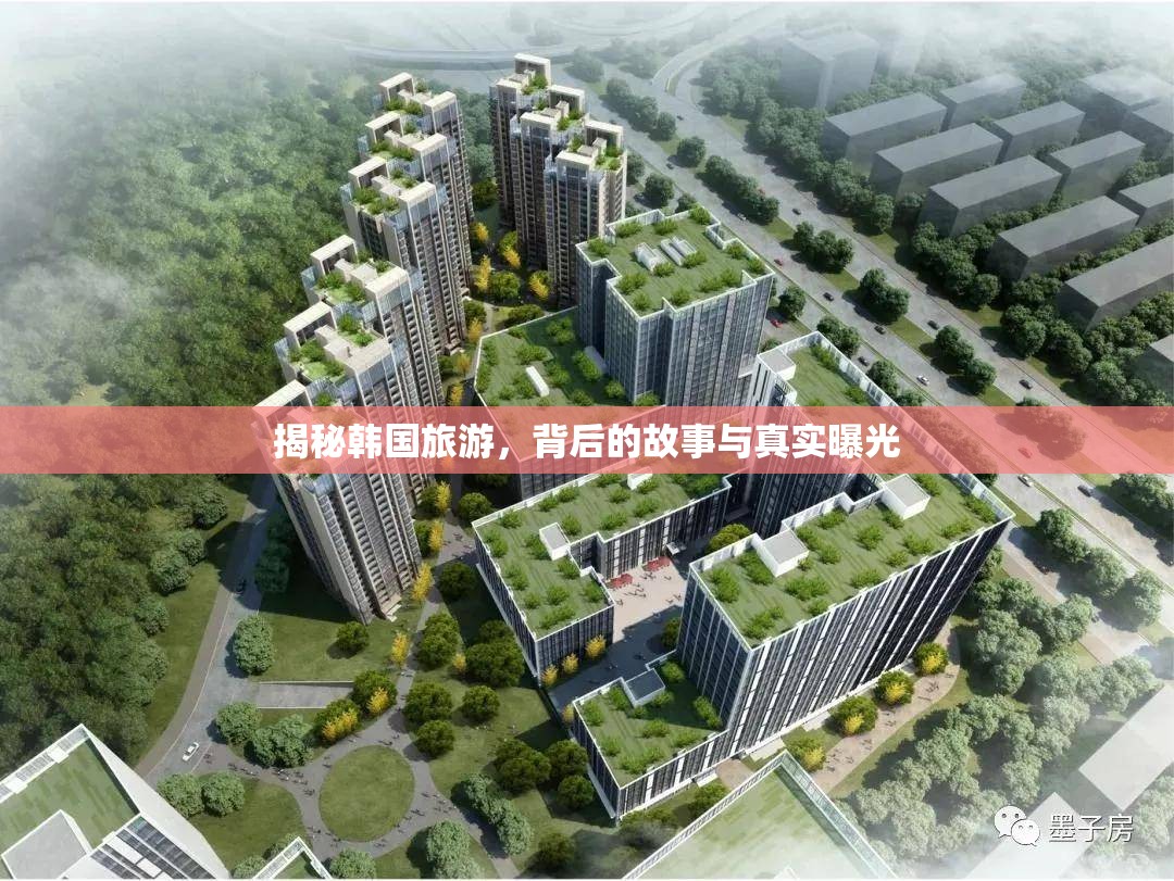 韓國旅游深度揭秘，背后的故事與真實(shí)面貌
