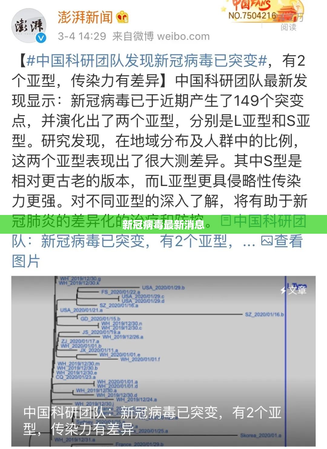 新冠病毒最新動(dòng)態(tài)