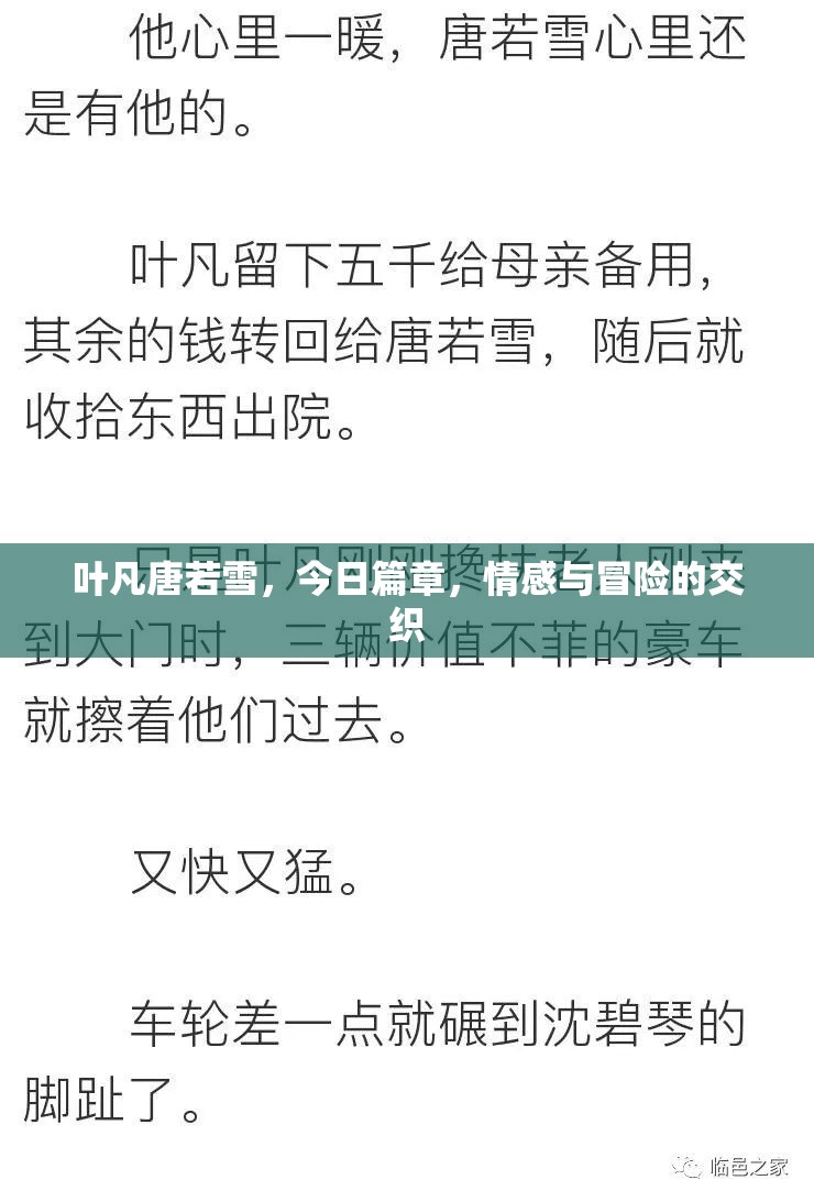 葉凡唐若雪，今日篇章，情感與冒險的交織