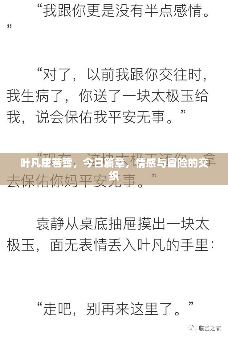 葉凡唐若雪，今日篇章，情感與冒險的交織