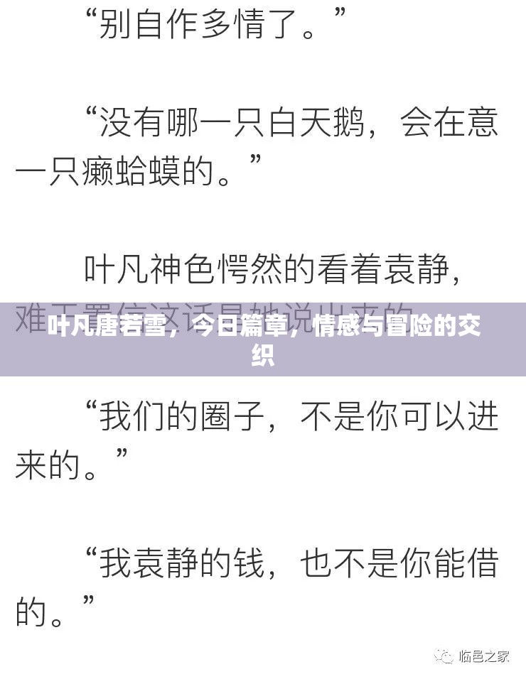 葉凡唐若雪，今日篇章，情感與冒險的交織
