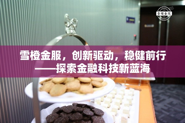 雪橙金服，創(chuàng)新驅(qū)動(dòng)，穩(wěn)健前行——探索金融科技新藍(lán)海
