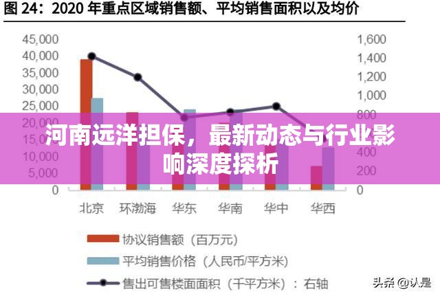 河南遠(yuǎn)洋擔(dān)保行業(yè)動(dòng)態(tài)及影響深度分析