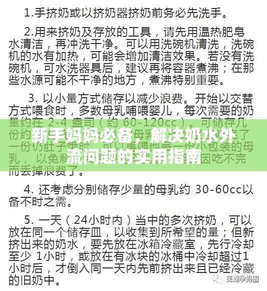 新手媽媽的奶水管理寶典，防止外流的實(shí)用技巧