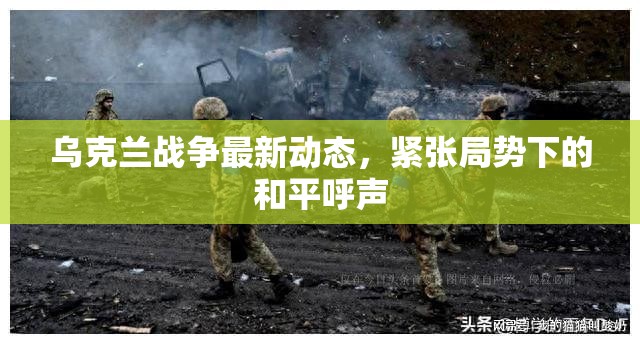 烏克蘭緊張局勢(shì)，戰(zhàn)爭(zhēng)動(dòng)態(tài)與和平呼聲