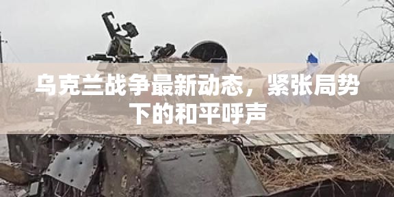 烏克蘭緊張局勢(shì)，戰(zhàn)爭(zhēng)動(dòng)態(tài)與和平呼聲