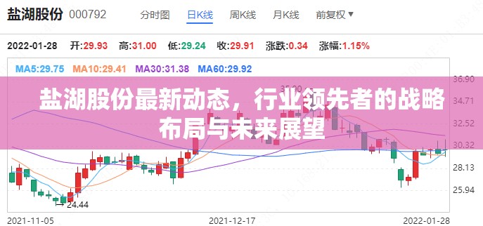 鹽湖股份，行業(yè)先鋒的戰(zhàn)略布局與未來展望