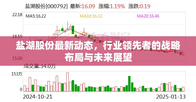 鹽湖股份，行業(yè)先鋒的戰(zhàn)略布局與未來展望