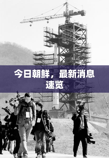 朝鮮今日要聞，最新動態(tài)概覽