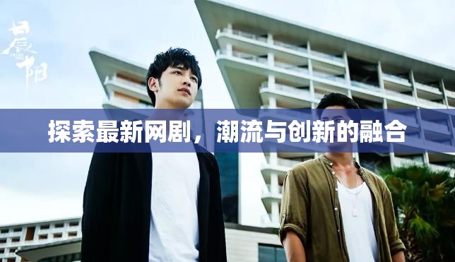 潮流與創(chuàng)新，最新網(wǎng)劇探索之旅