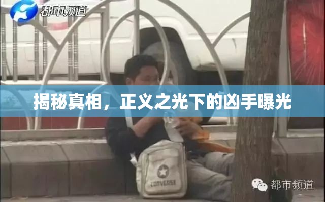正義之光下的罪行，揭秘真相