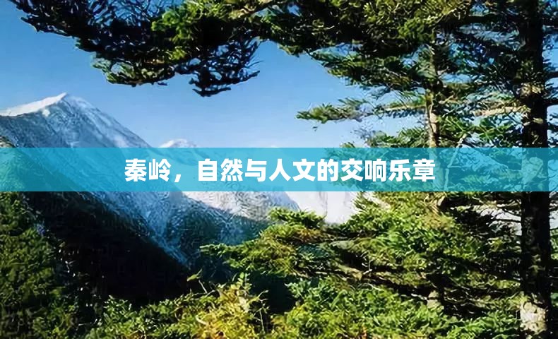 秦嶺，自然與人文的交響樂章