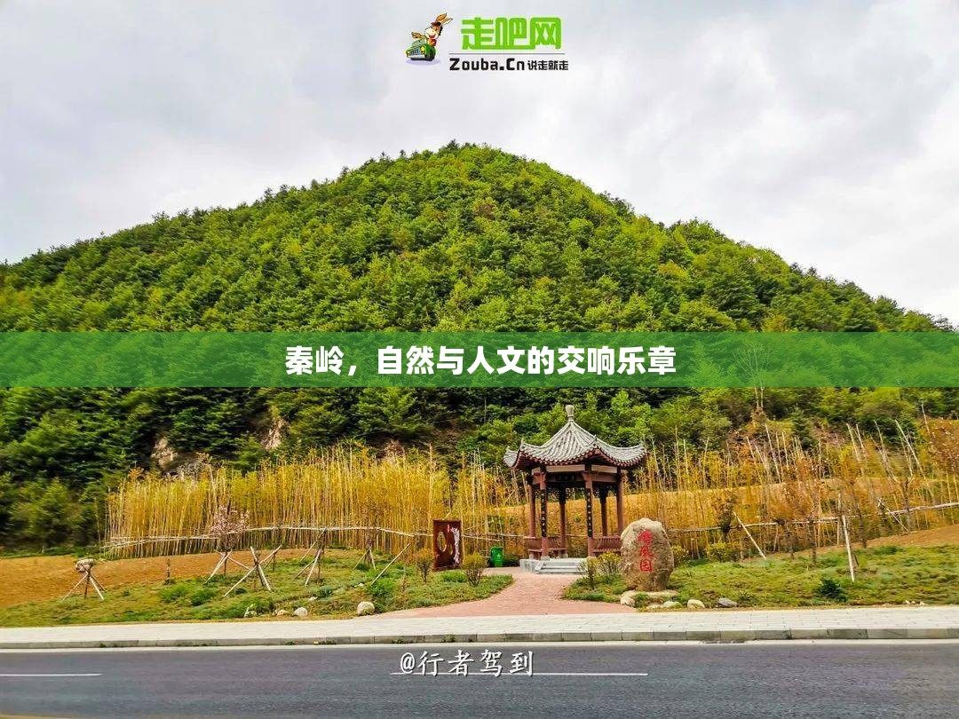 秦嶺，自然與人文的交響樂章