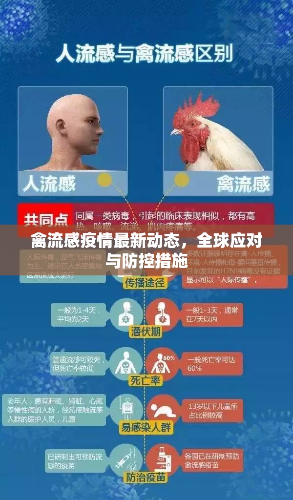 全球視角下的禽流感疫情，最新動(dòng)態(tài)與防控策略