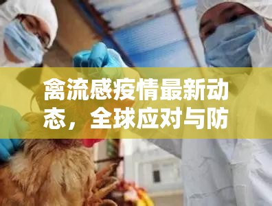 全球視角下的禽流感疫情，最新動(dòng)態(tài)與防控策略