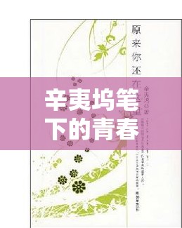 青春的探索，辛夷塢新作中的深刻主題