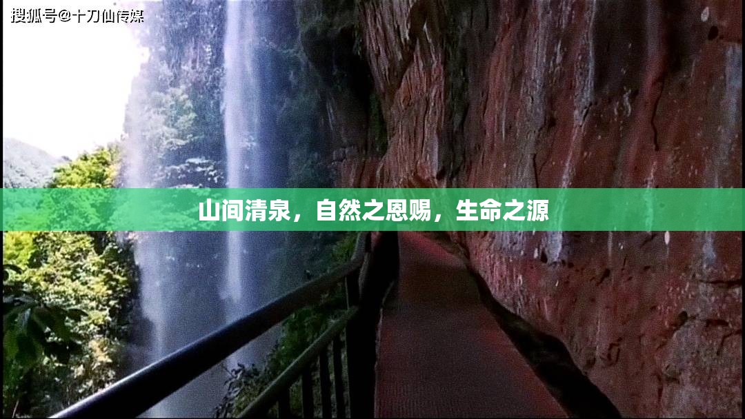 山間清泉，自然恩賜與生命之源