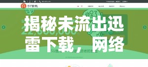 迅雷下載背后的隱秘，網絡資源獲取的灰色地帶與風險警示