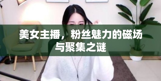 美女主播，粉絲魅力的磁場與聚集之謎