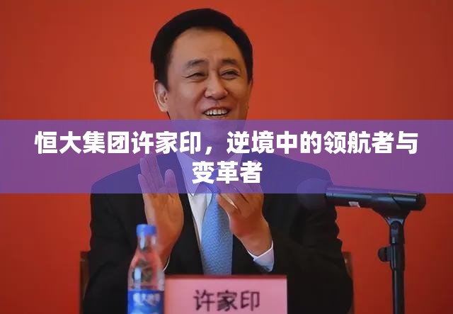 逆境領(lǐng)航，許家印與恒大集團(tuán)的變革之路