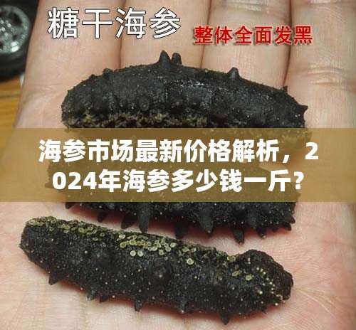 2024年海參市場(chǎng)行情分析，價(jià)格走勢(shì)及一斤價(jià)格預(yù)測(cè)
