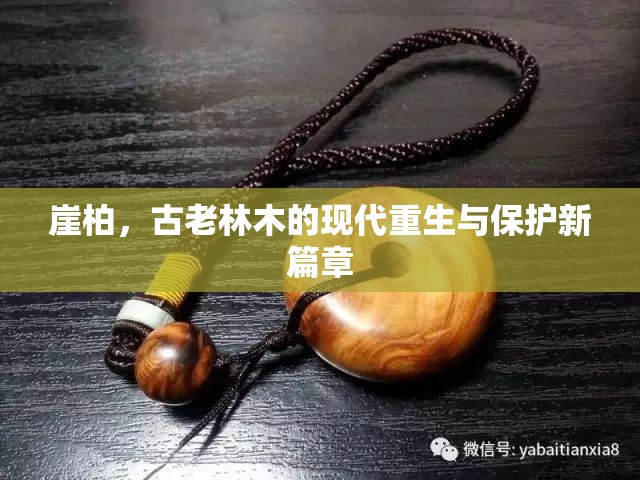 崖柏，古木新生與現(xiàn)代保護(hù)的交響曲