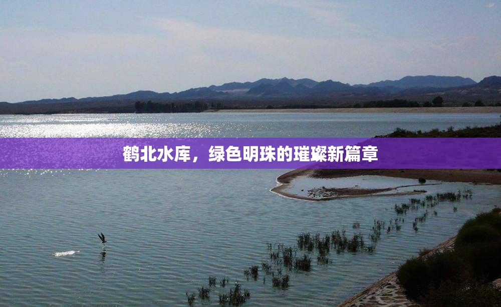 鶴北水庫，綠色明珠的璀璨新篇章