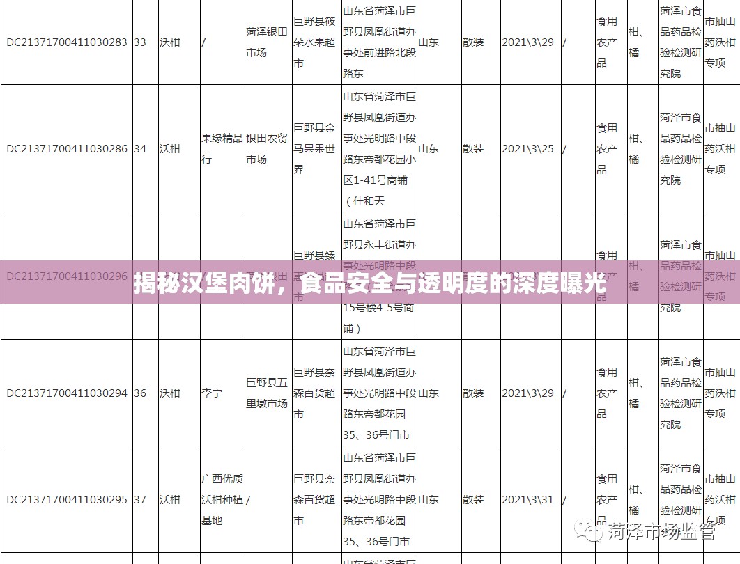 揭秘漢堡肉餅，食品安全與透明度的深度曝光
