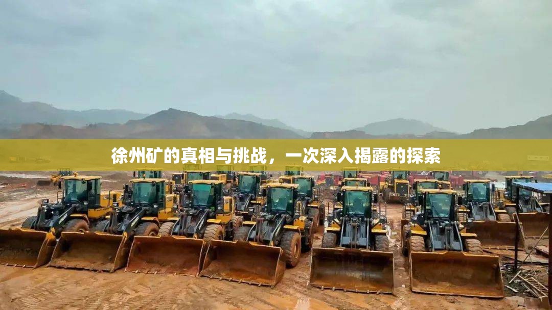 徐州礦的真相與挑戰(zhàn)，一次深入揭露的探索