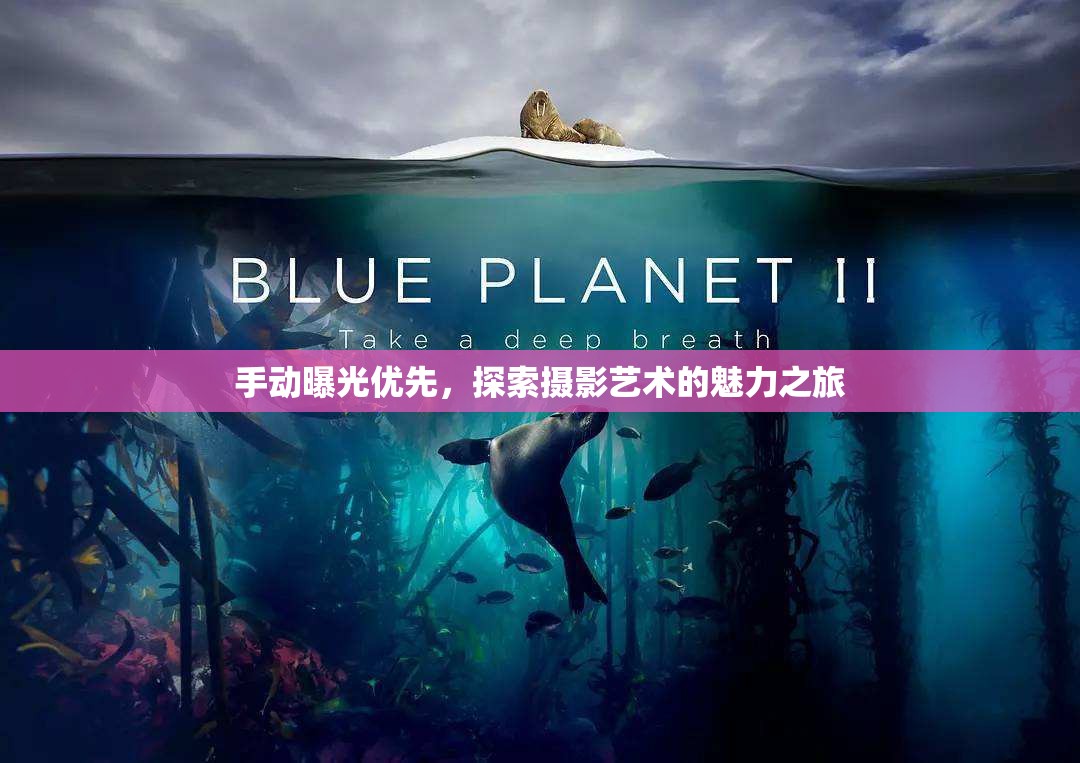 攝影藝術(shù)之旅，手動曝光優(yōu)先的探索與魅力