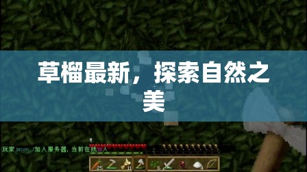 草榴新篇章，自然之美的探索之旅
