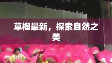 草榴新篇章，自然之美的探索之旅