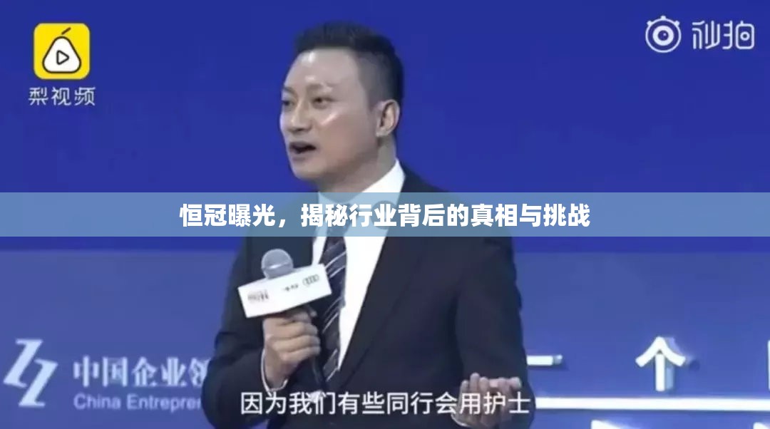 揭開行業(yè)面紗，恒冠曝光背后的真相與挑戰(zhàn)