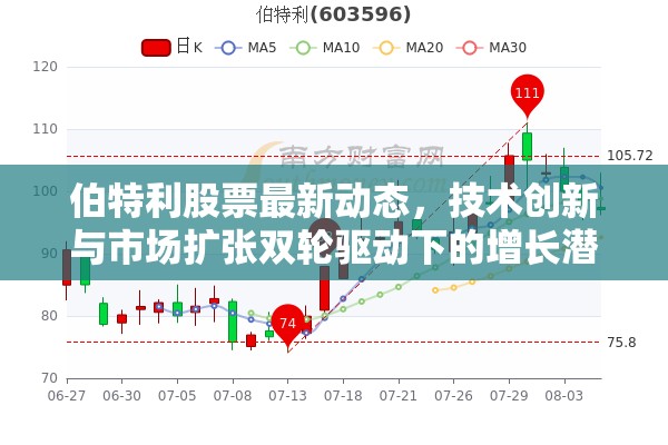伯特利股票最新動(dòng)態(tài)，技術(shù)創(chuàng)新與市場(chǎng)擴(kuò)張雙輪驅(qū)動(dòng)下的增長(zhǎng)潛力