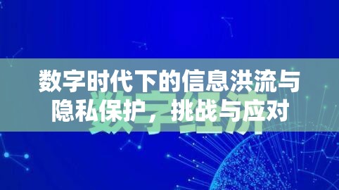 數(shù)字時(shí)代信息洪流中的隱私保護(hù)，挑戰(zhàn)、應(yīng)對(duì)與策略