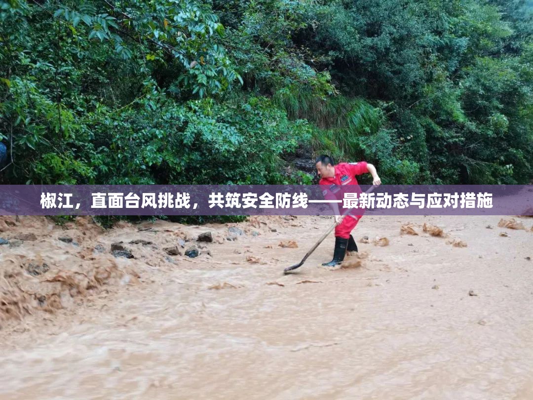 椒江迎戰(zhàn)臺風，最新動態(tài)與安全防線構(gòu)建