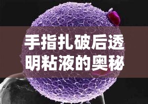 揭秘手指扎破后透明粘液，自然防御機(jī)制與日常護(hù)理