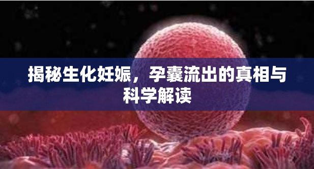 生化妊娠揭秘，孕囊流出的真相與科學解析