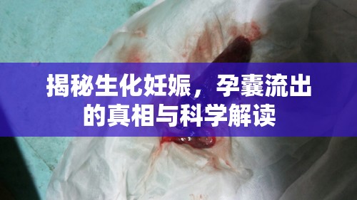 生化妊娠揭秘，孕囊流出的真相與科學解析