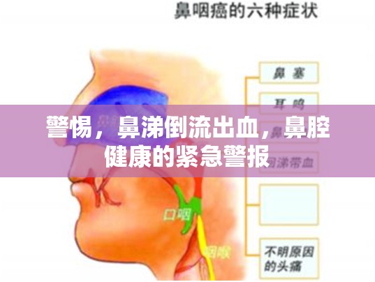 鼻腔健康危機(jī)，鼻涕倒流出血的警示信號