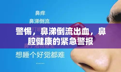 鼻腔健康危機(jī)，鼻涕倒流出血的警示信號