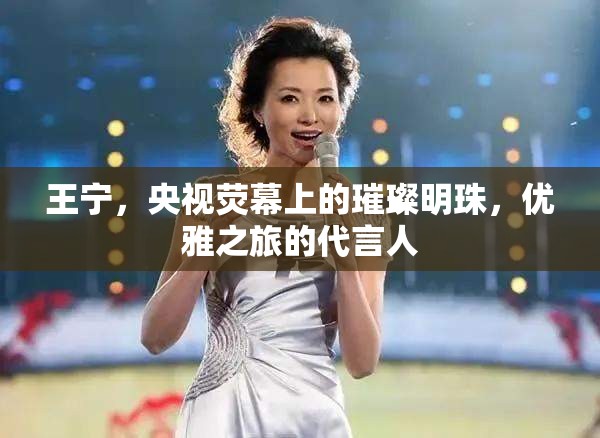 王寧，央視舞臺上的優(yōu)雅之星