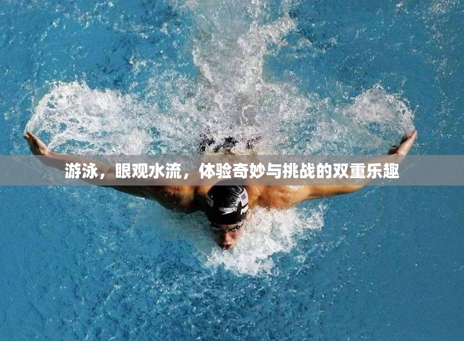 泳動(dòng)奇跡，水流中的探索與挑戰(zhàn)