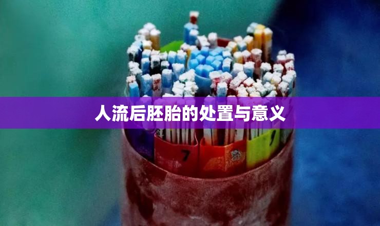 人流后胚胎處置，倫理與實(shí)踐的探討