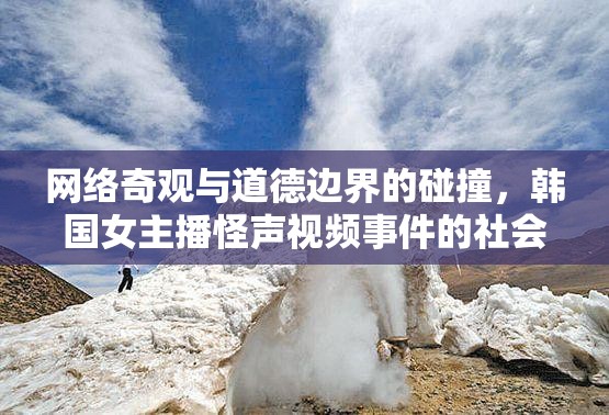 網(wǎng)絡(luò)奇觀與道德邊界，韓國女主播怪聲視頻事件引發(fā)的社會反思